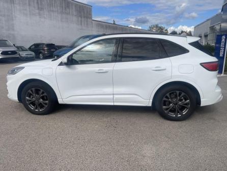FORD Kuga 2.5 Duratec 225ch PHEV ST-Line BVA à vendre à Besançon - Image n°8