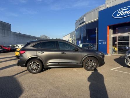 FORD Kuga 2.0 EcoBlue 120ch ST-Line X Powershift à vendre à Besançon - Image n°8