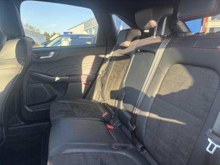 FORD Kuga 2.0 EcoBlue 120ch ST-Line X Powershift à vendre à Besançon - Image n°12